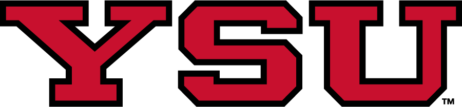 Youngstown State Penguins 2014-Pres Secondary Logo diy iron on heat transfer
